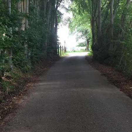 Les Terrasses De * 말메디